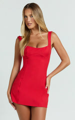 Panel Dress in Red